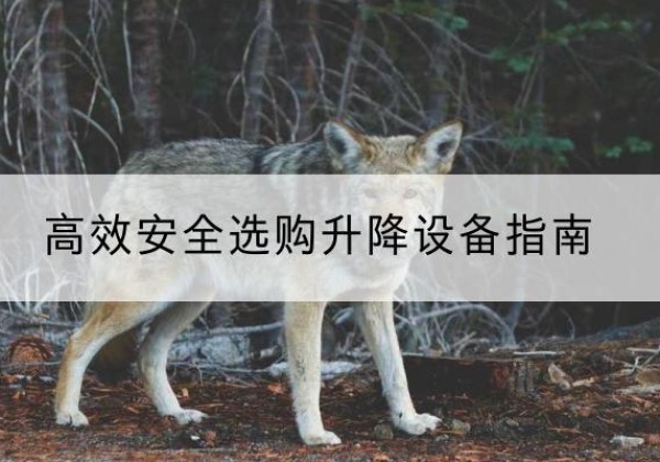 景泰升降货梯厂家推荐-*安全选购升降设备指南