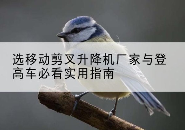 景泰电动升降机厂家-选移动剪叉升降机厂家与登高车必看实用指南